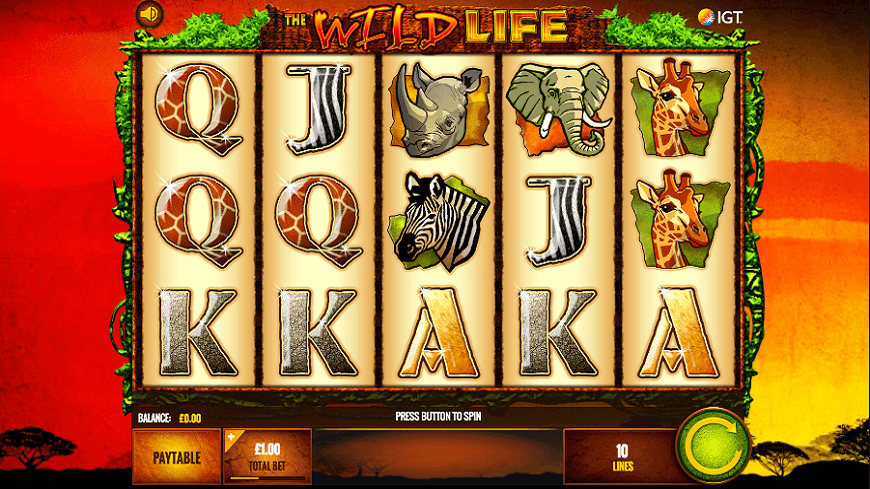 The Wild Life Slot